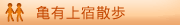 �T�L��h�U��
