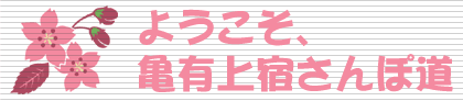 �悤�����A�T�L��h����ۓ�